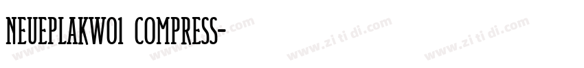 NeuePlakW01 Compress字体转换 NeuePlakW01 Compress字体转换